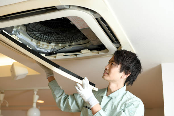 Best Local Air Duct Cleaning Services  in Monte Vista, CO